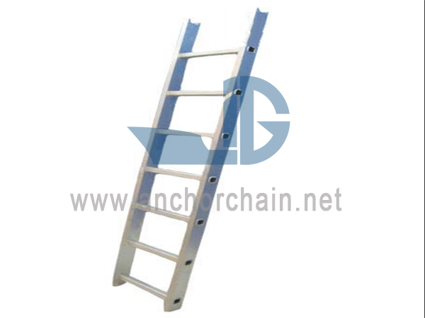 Escalera vertical de tubo de aluminio marino